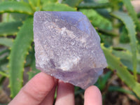 Natural Jacaranda Amethyst Crystals x 12 From Zambia