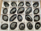 Polished Black Tourmaline Palm Stones x 20 From Madagascar - Toprock Gemstones and Minerals 