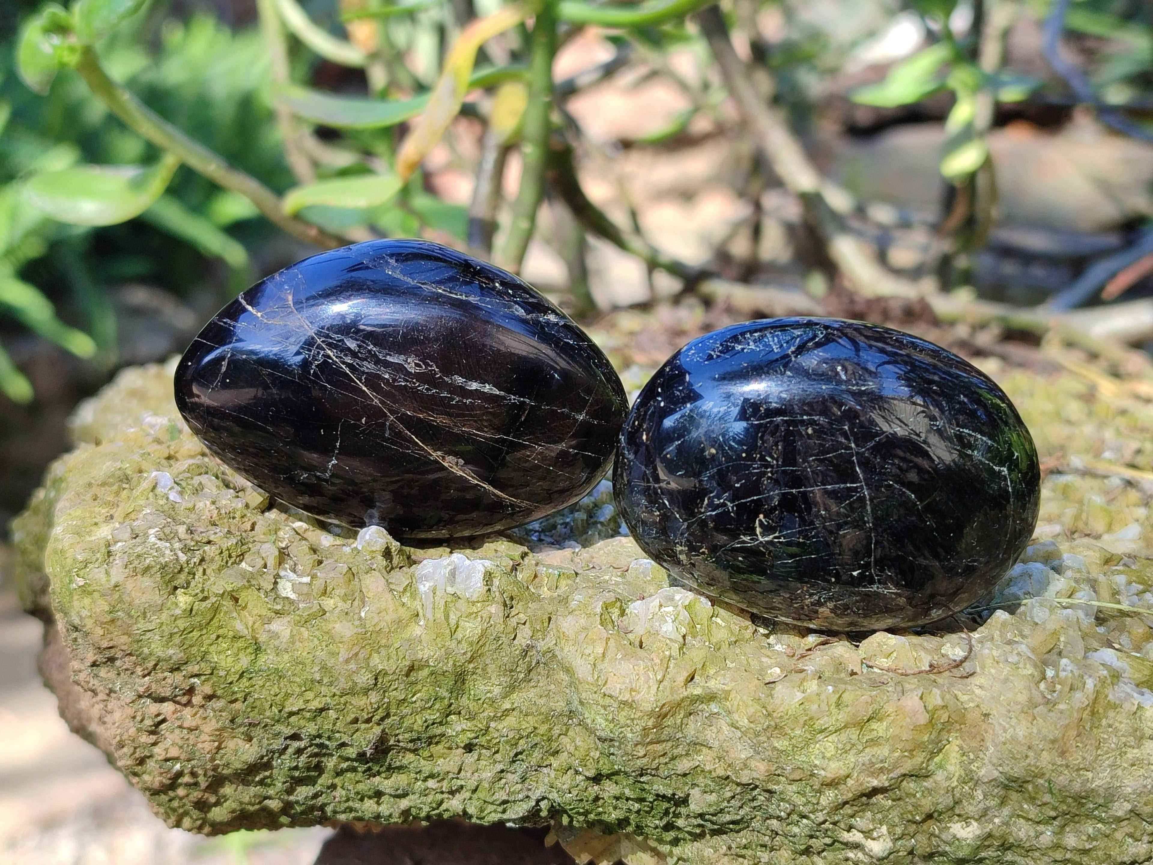 Polished Black Tourmaline Palm Stones x 20 From Madagascar - Toprock Gemstones and Minerals 