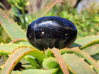 Polished Black Tourmaline Palm Stones x 20 From Madagascar - Toprock Gemstones and Minerals 
