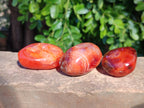 Polished Carnelian Agate Palm Stones x 12 From Madagascar - Toprock Gemstones and Minerals 
