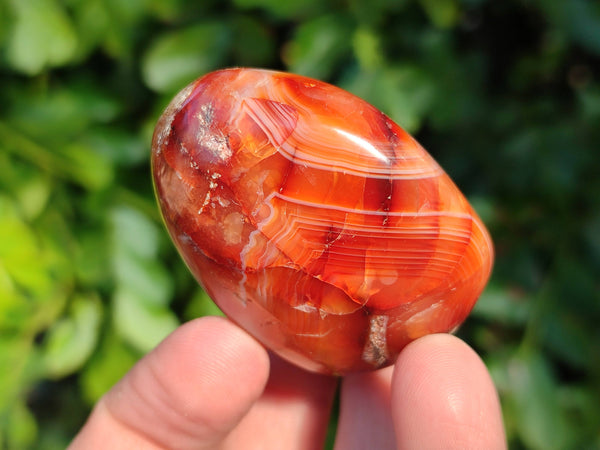 Polished Carnelian Agate Palm Stones x 12 From Madagascar