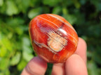 Polished Carnelian Agate Palm Stones x 12 From Madagascar - Toprock Gemstones and Minerals 