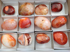 Polished Carnelian Agate Palm Stones x 12 From Madagascar - Toprock Gemstones and Minerals 