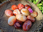 Polished Carnelian Agate Palm Stones x 12 From Madagascar - Toprock Gemstones and Minerals 