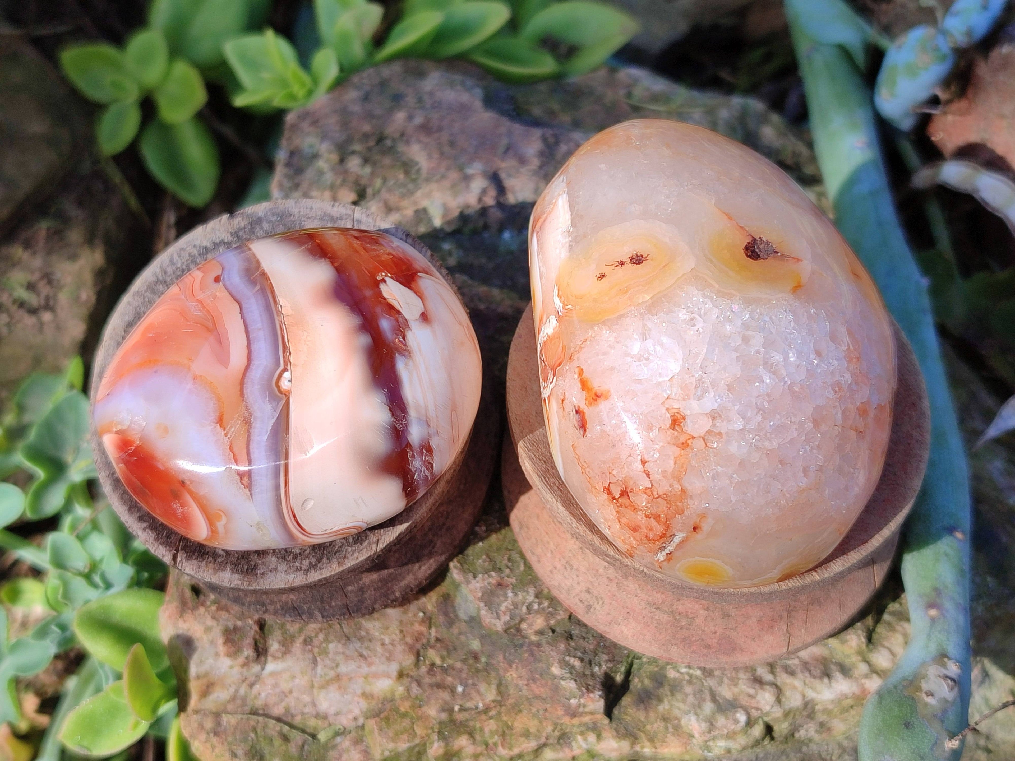Polished Carnelian Agate Palm Stones x 12 From Madagascar - Toprock Gemstones and Minerals 