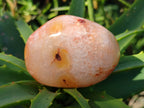 Polished Carnelian Agate Palm Stones x 12 From Madagascar - Toprock Gemstones and Minerals 