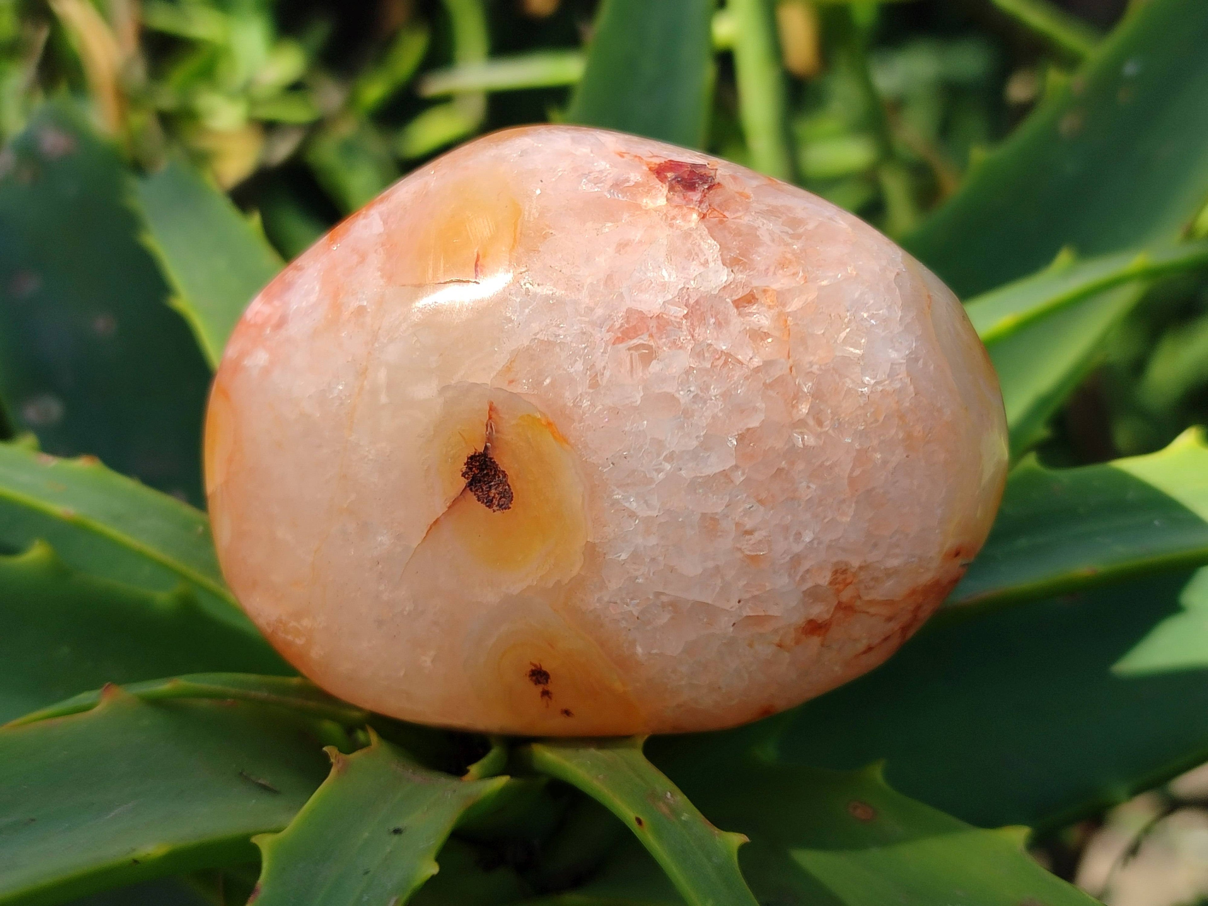 Polished Carnelian Agate Palm Stones x 12 From Madagascar - Toprock Gemstones and Minerals 