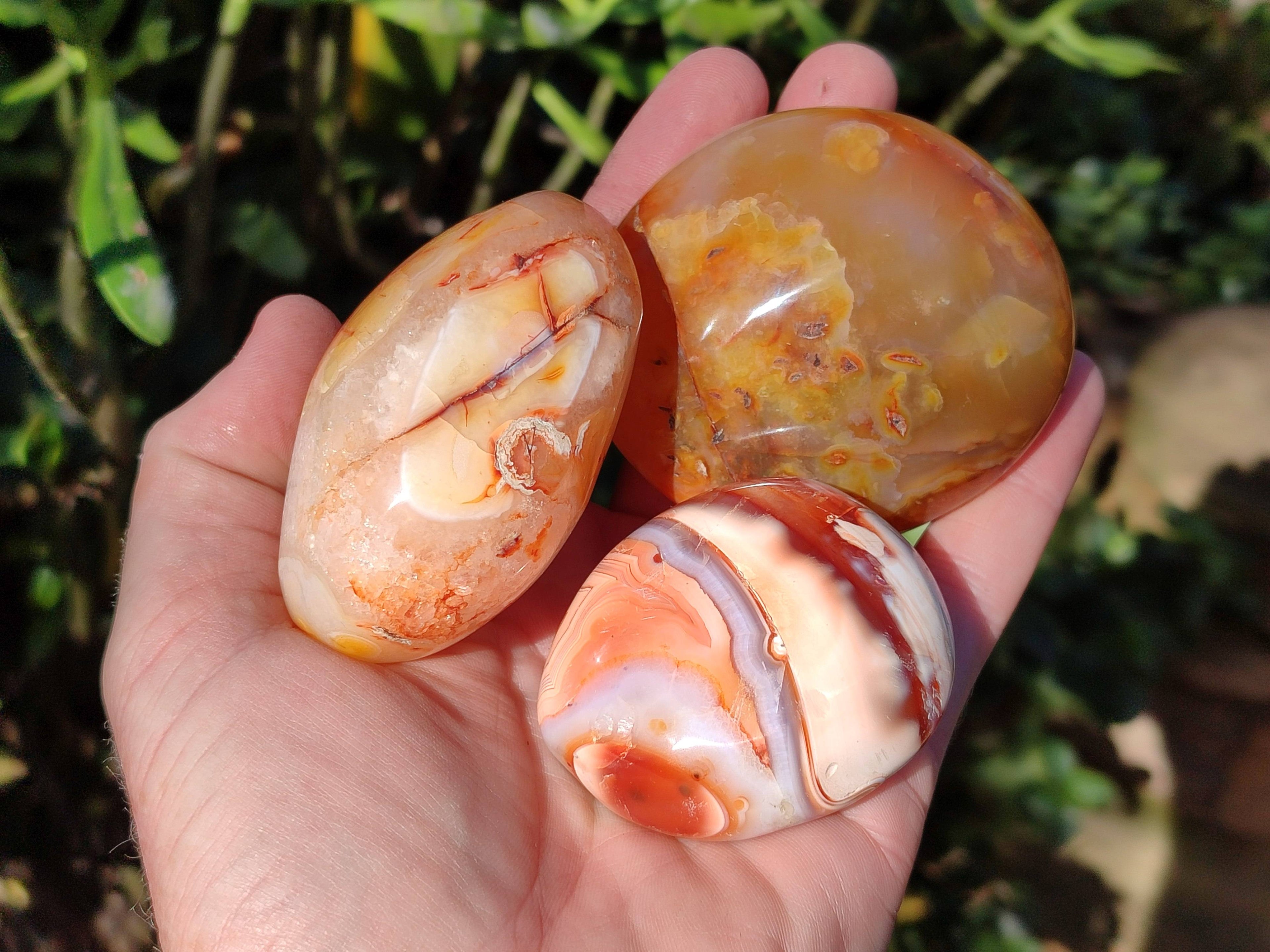 Polished Carnelian Agate Palm Stones x 12 From Madagascar - Toprock Gemstones and Minerals 