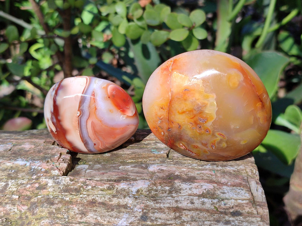 Polished Carnelian Agate Palm Stones x 12 From Madagascar - Toprock Gemstones and Minerals 