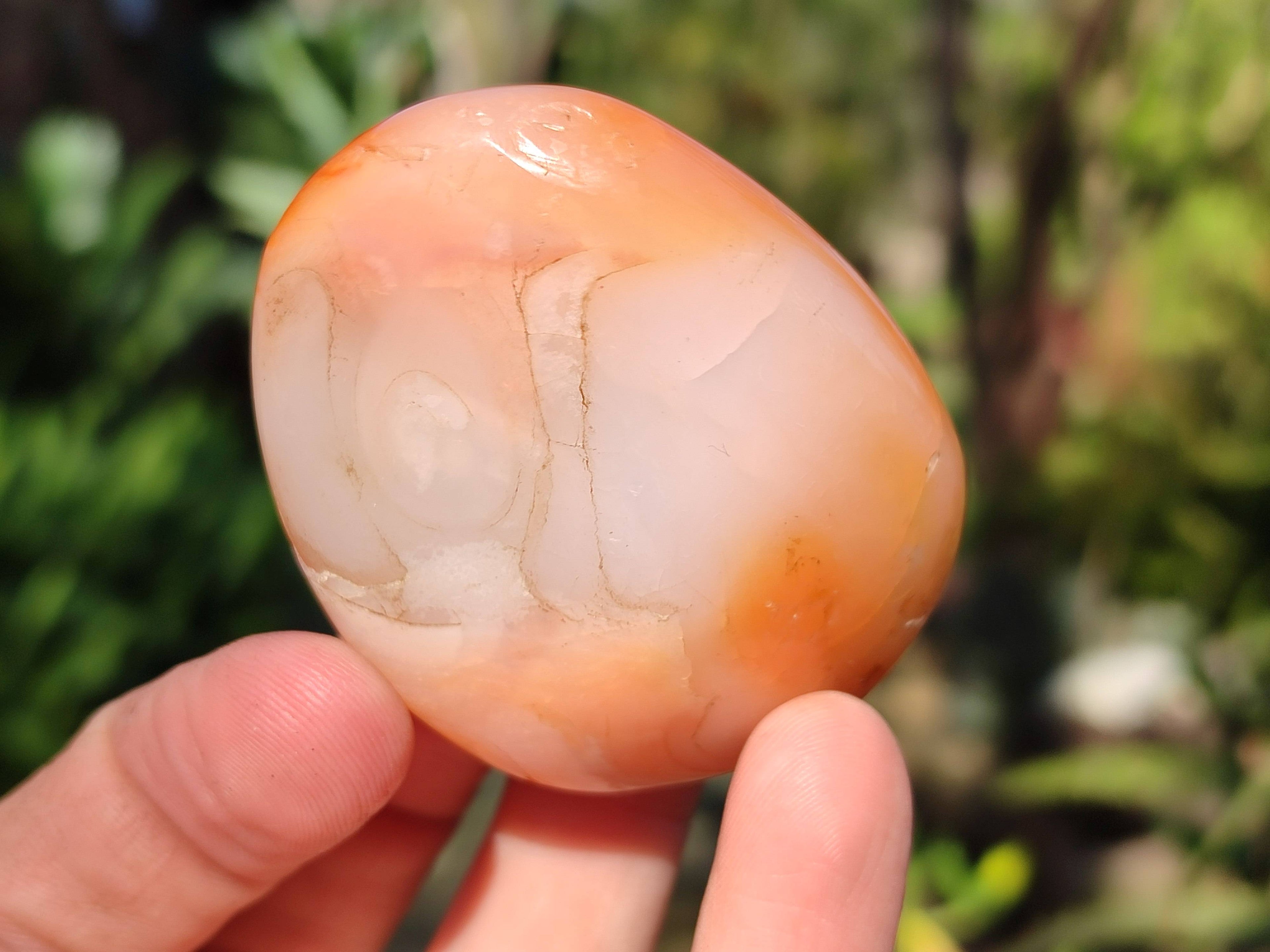 Polished Carnelian Agate Palm Stones x 12 From Madagascar - Toprock Gemstones and Minerals 