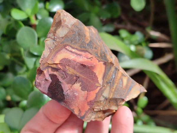 Natural Selected Nguni Jasper Cobbed Specimens x 12 From Prieska, South Africa