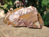 Natural Selected Nguni Jasper Cobbed Specimens x 12 From Prieska, South Africa