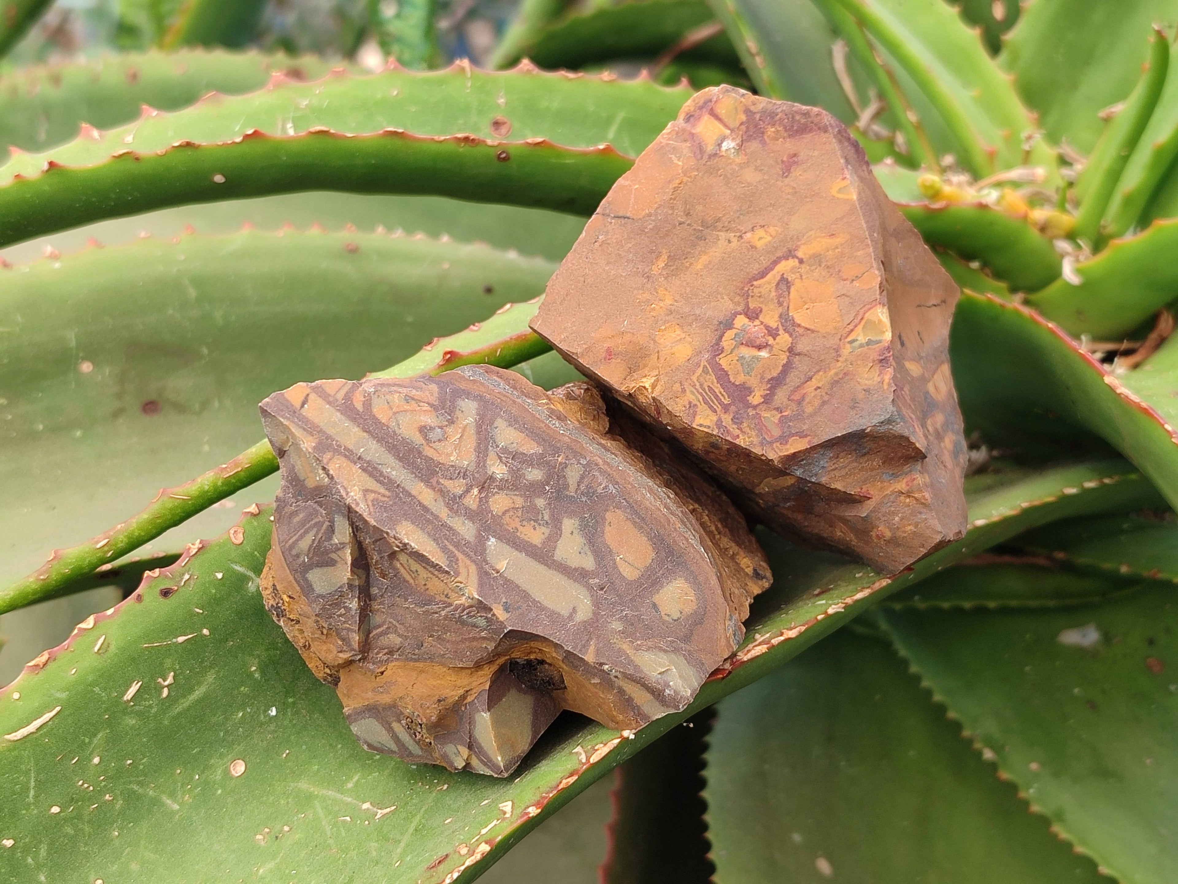 Natural Selected Nguni Jasper Cobbed Specimens x 12 From Prieska, South Africa - Toprock Gemstones and Minerals 
