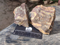 Natural Selected Nguni Jasper Cobbed Specimens x 12 From Prieska, South Africa