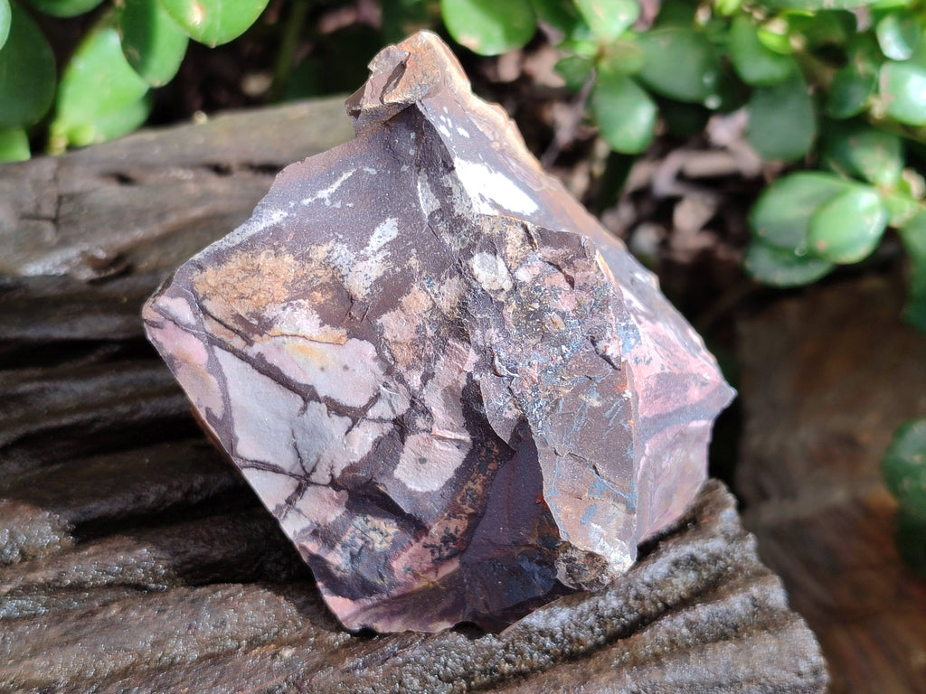 Natural Selected Nguni Jasper Cobbed Specimens x 12 From Prieska, South Africa - Toprock Gemstones and Minerals 