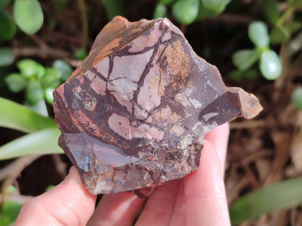 Natural Selected Nguni Jasper Cobbed Specimens x 12 From Prieska, South Africa - Toprock Gemstones and Minerals 