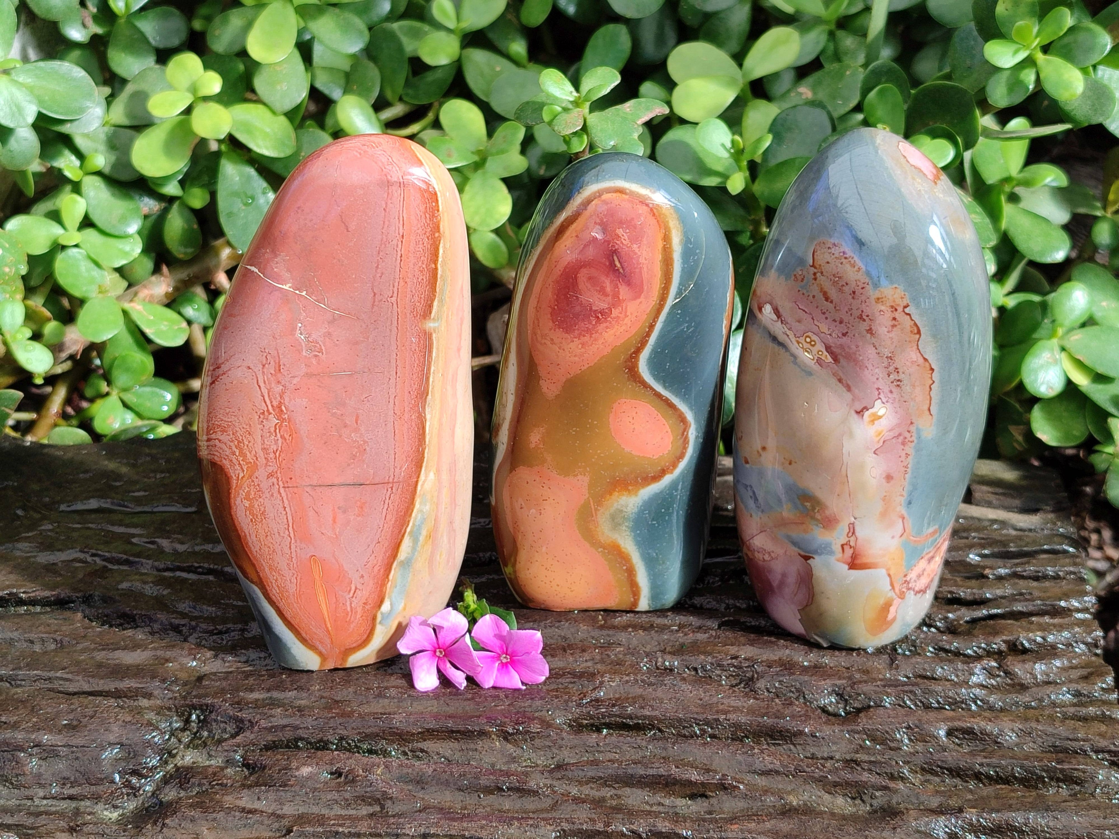 Polished Polychrome Jasper Standing Free Forms x 3 From Madagascar - Toprock Gemstones and Minerals 