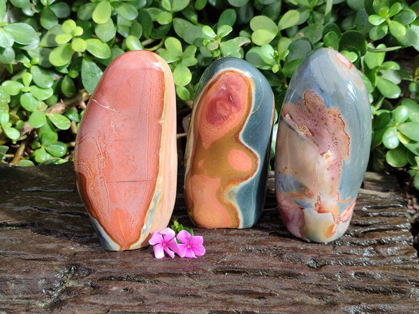 Polished Polychrome Jasper Standing Free Forms x 3 From Madagascar