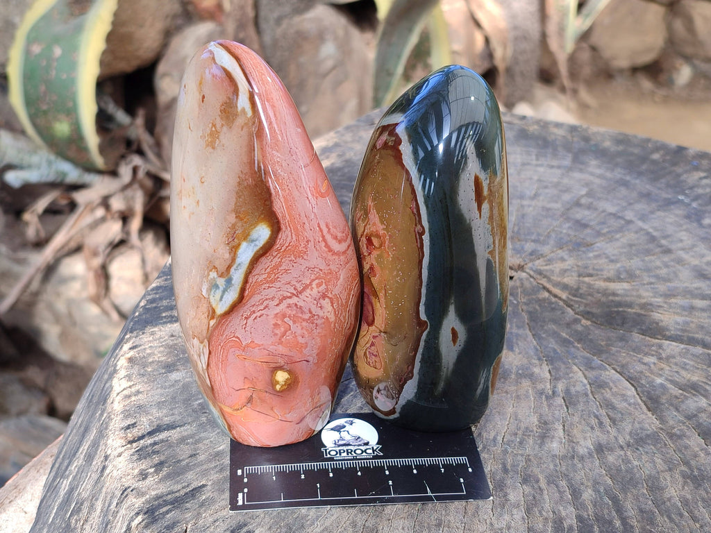 Polished Polychrome Jasper Standing Free Forms x 3 From Madagascar - Toprock Gemstones and Minerals 