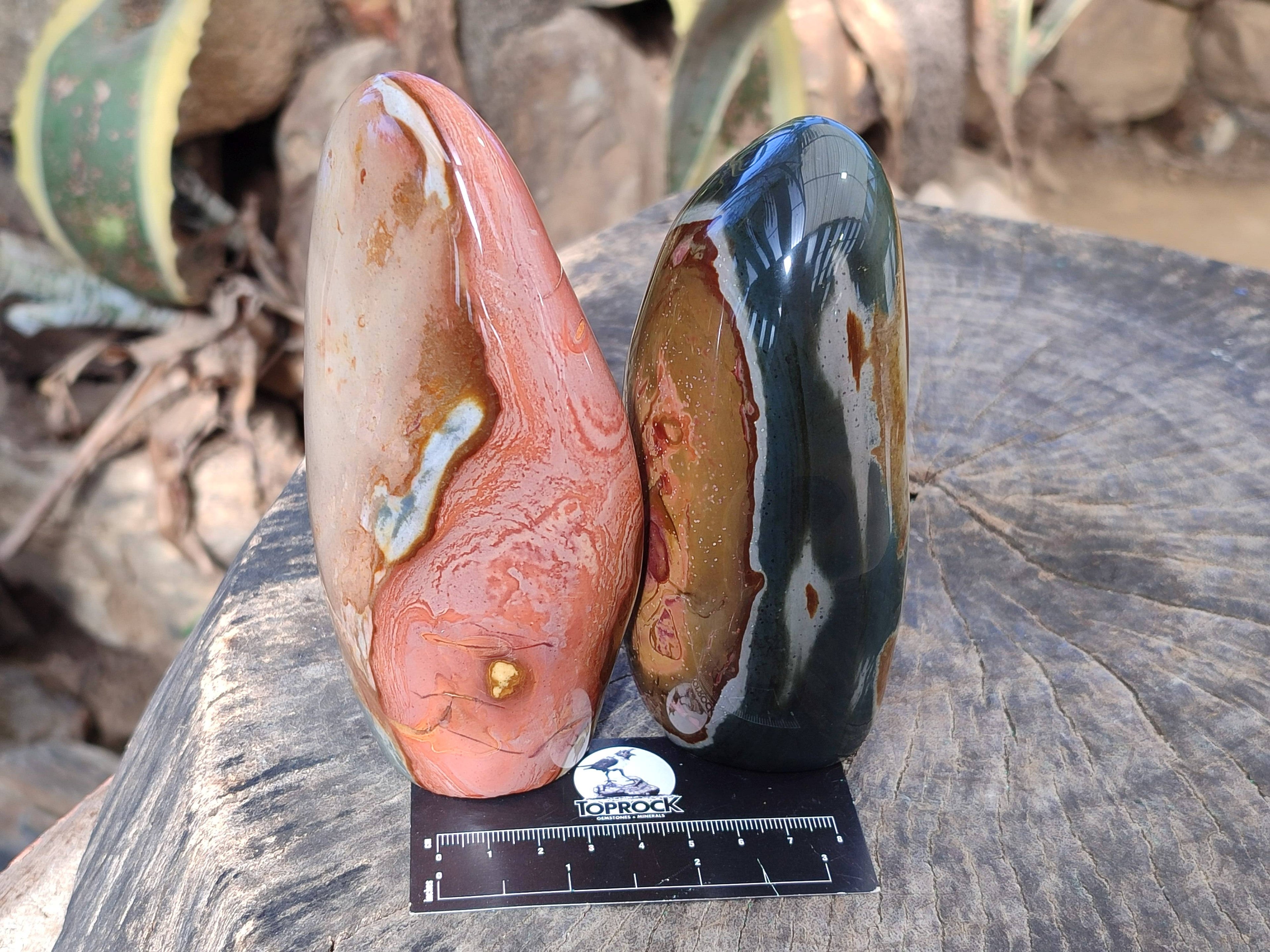 Polished Polychrome Jasper Standing Free Forms x 3 From Madagascar - Toprock Gemstones and Minerals 