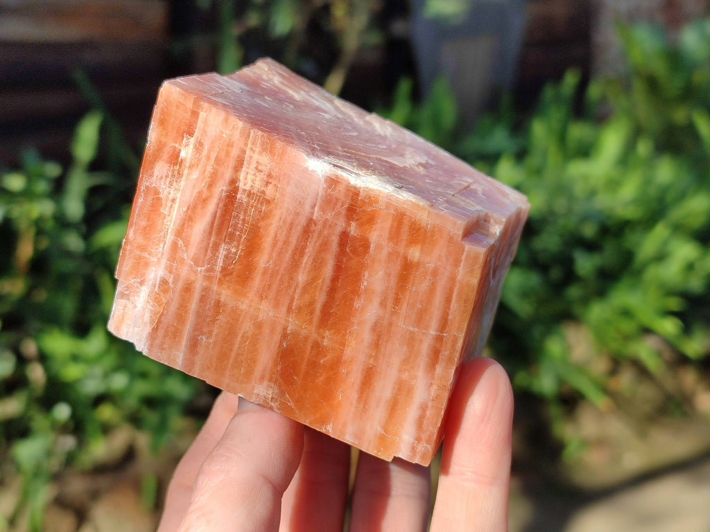 Natural Sunset Orange Calcite Specimens x 6 From Spitzkop, Namibia - Toprock Gemstones and Minerals 