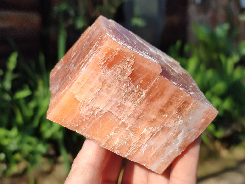 Natural Sunset Orange Calcite Specimens x 6 From Spitzkop, Namibia - Toprock Gemstones and Minerals 