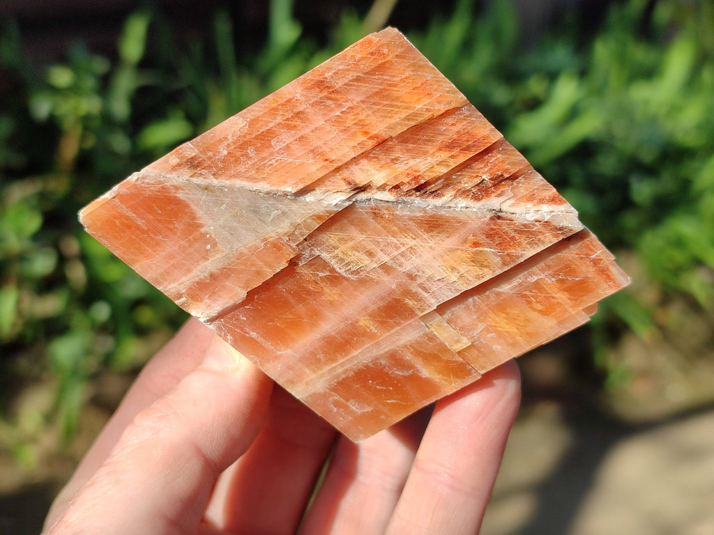Natural Sunset Orange Calcite Specimens x 6 From Spitzkop, Namibia - Toprock Gemstones and Minerals 