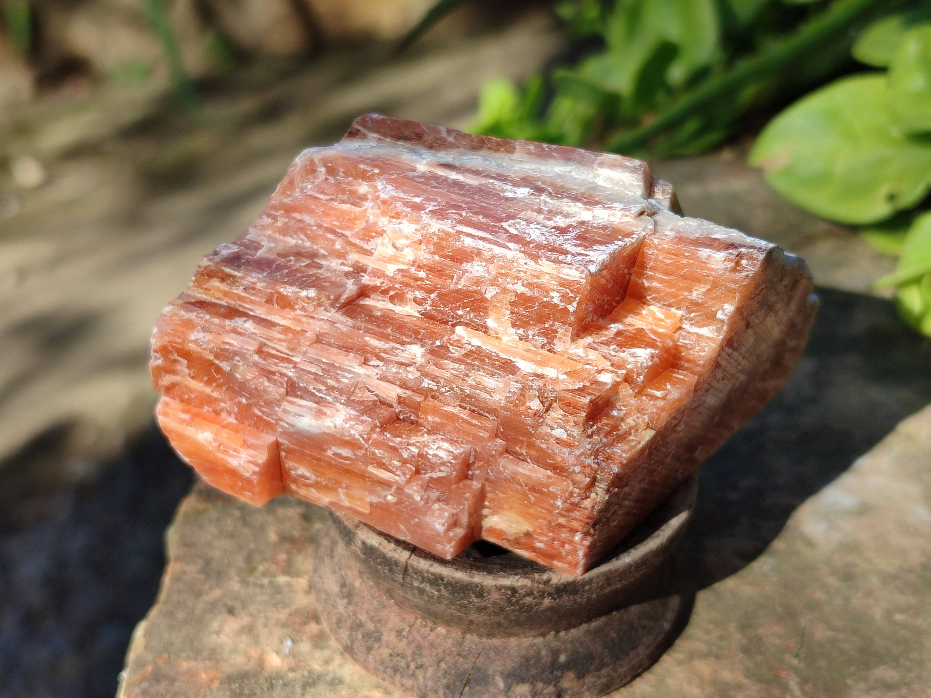 Natural Sunset Orange Calcite Specimens x 6 From Spitzkop, Namibia - Toprock Gemstones and Minerals 