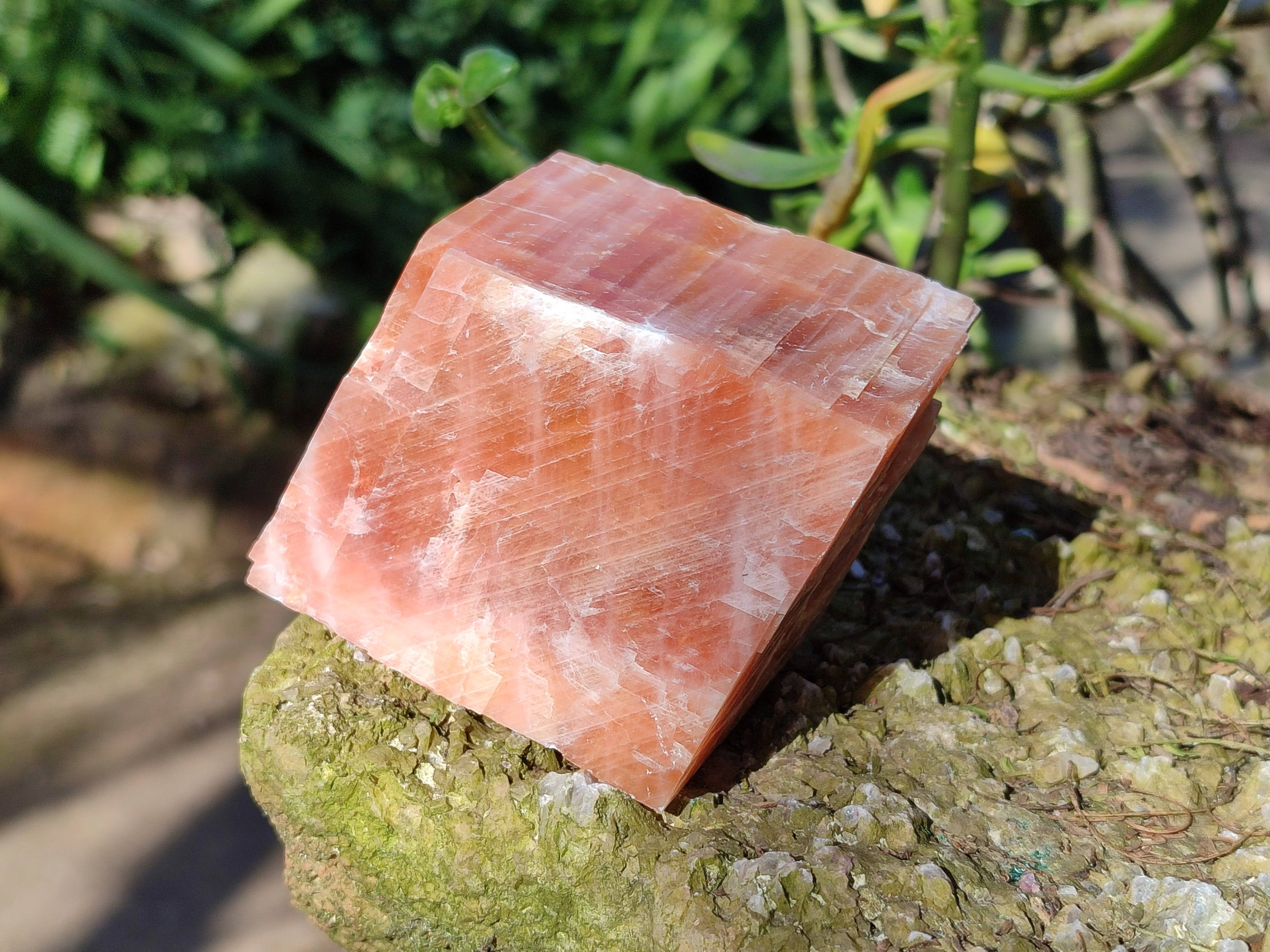 Natural Sunset Orange Calcite Specimens x 6 From Spitzkop, Namibia - Toprock Gemstones and Minerals 