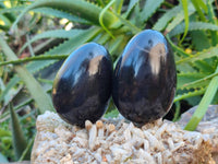 Polished Black Basalt Eggs x 6 From Antsirabe, Madagascar