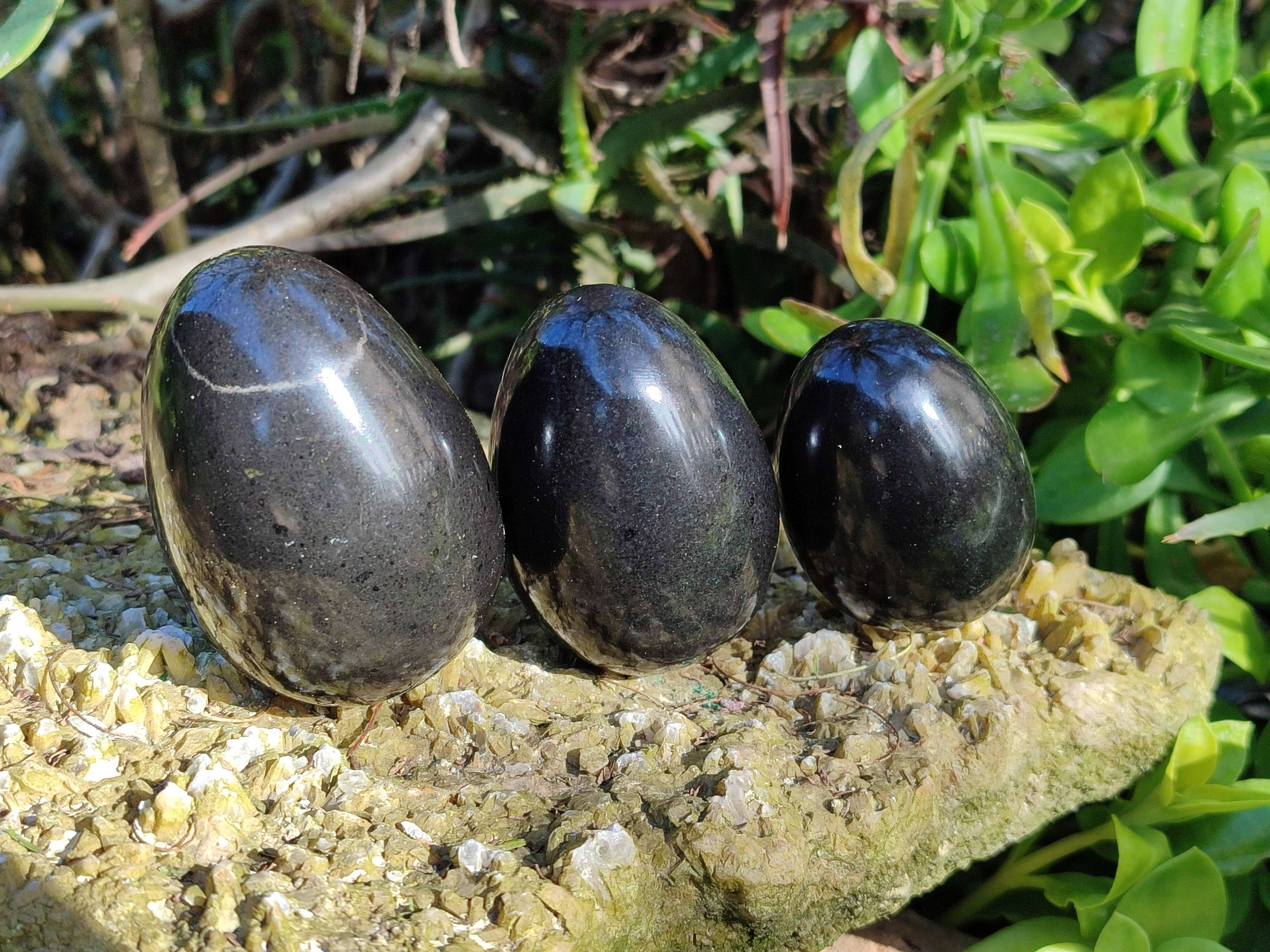 Polished Black Basalt Eggs x 6 From Antsirabe, Madagascar - Toprock Gemstones and Minerals 