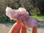 Natural Amethyst Spirit Quartz Clusters x 6 From South Africa - Toprock Gemstones and Minerals 