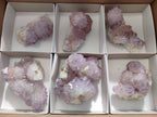 Natural Amethyst Spirit Quartz Clusters x 6 From South Africa - Toprock Gemstones and Minerals 