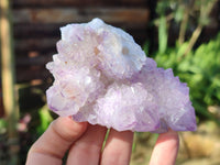 Natural Amethyst Spirit Quartz Clusters x 6 From South Africa