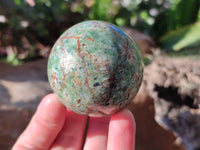 Polished Green Chrysoprase Spheres x 6 From Madagascar