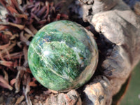 Polished Green Chrysoprase Spheres x 6 From Madagascar