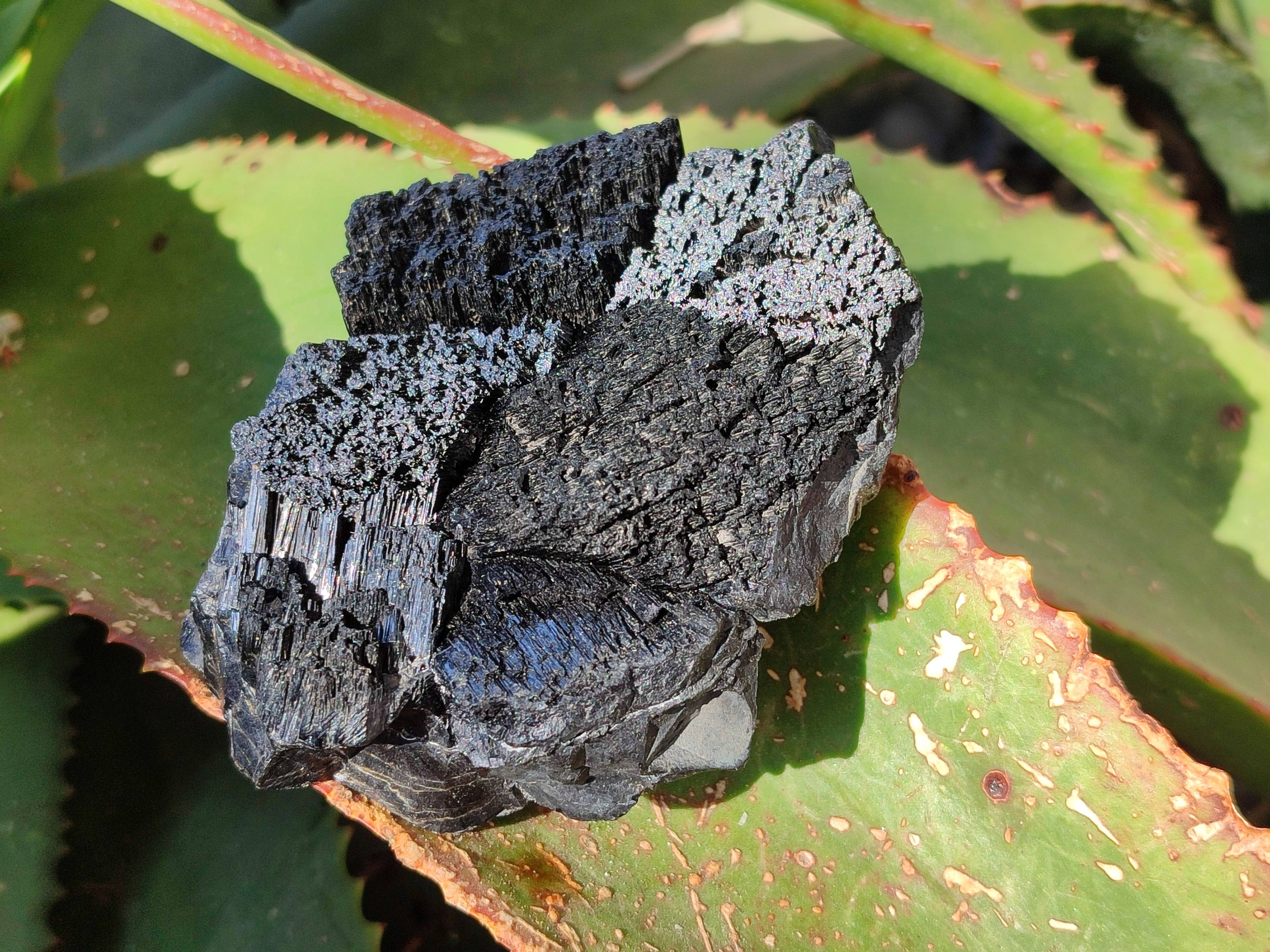 Natural Schorl Black Tourmaline Specimens x 4 From Namibia - Toprock Gemstones and Minerals 
