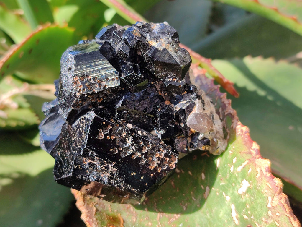 Natural Schorl Black Tourmaline Specimens x 4 From Namibia - Toprock Gemstones and Minerals 