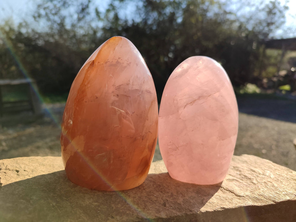 Polished Rose Quartz Standing Free Forms x 2 From Madagascar - Toprock Gemstones and Minerals 