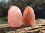 Polished Rose Quartz Standing Free Forms x 2 From Madagascar - Toprock Gemstones and Minerals 