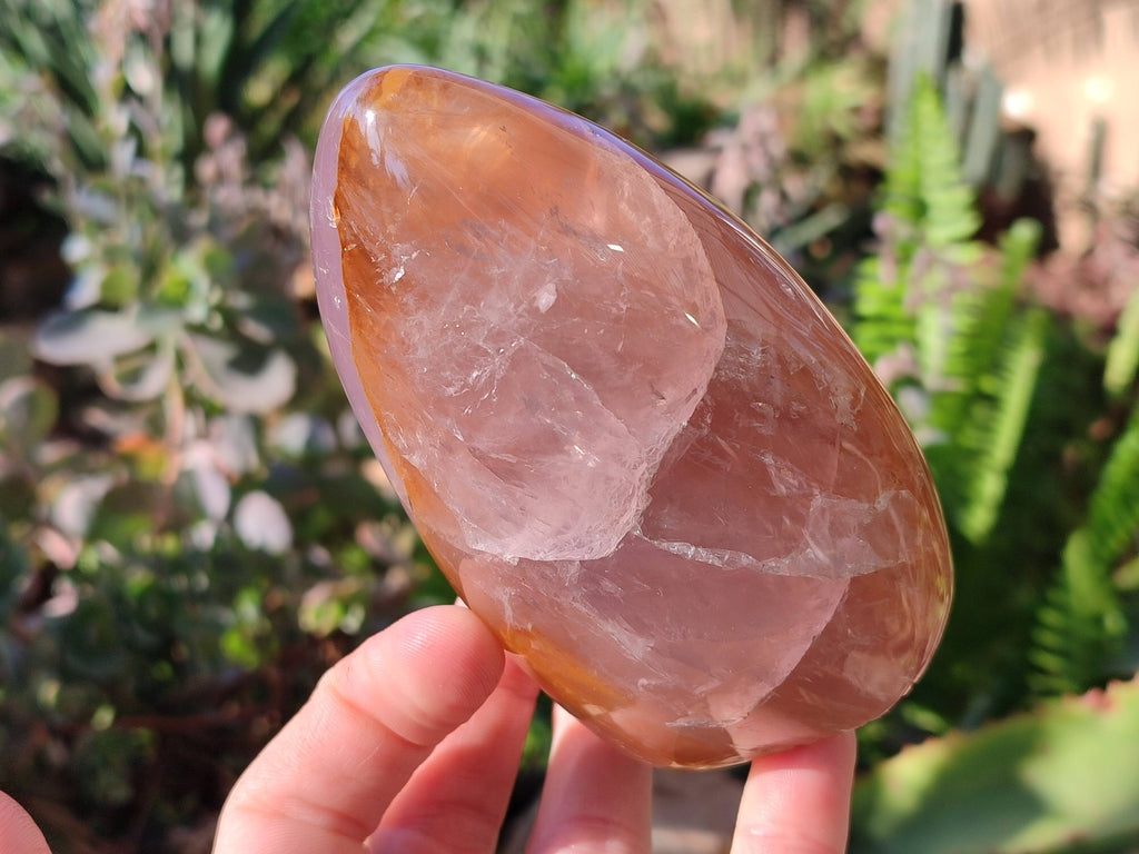 Polished Rose Quartz Standing Free Forms x 2 From Madagascar - Toprock Gemstones and Minerals 