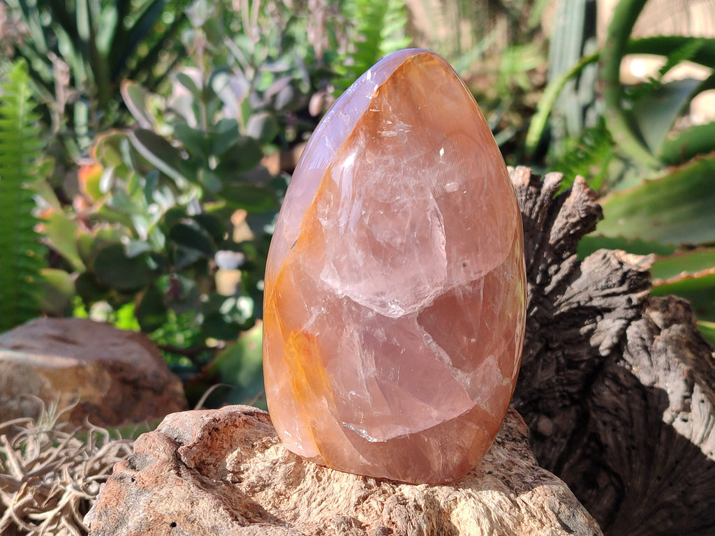 Polished Rose Quartz Standing Free Forms x 2 From Madagascar - Toprock Gemstones and Minerals 
