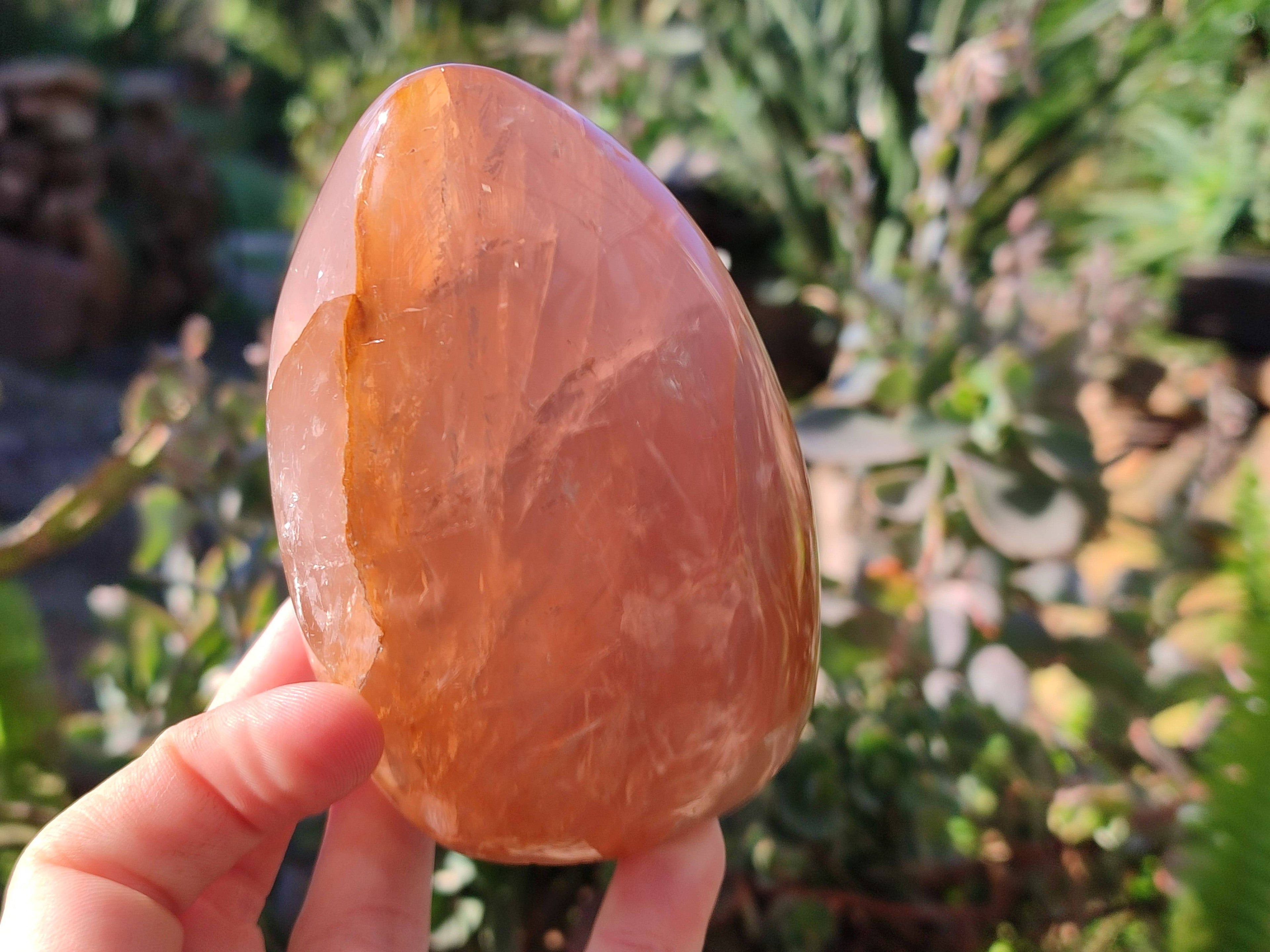 Polished Rose Quartz Standing Free Forms x 2 From Madagascar - Toprock Gemstones and Minerals 