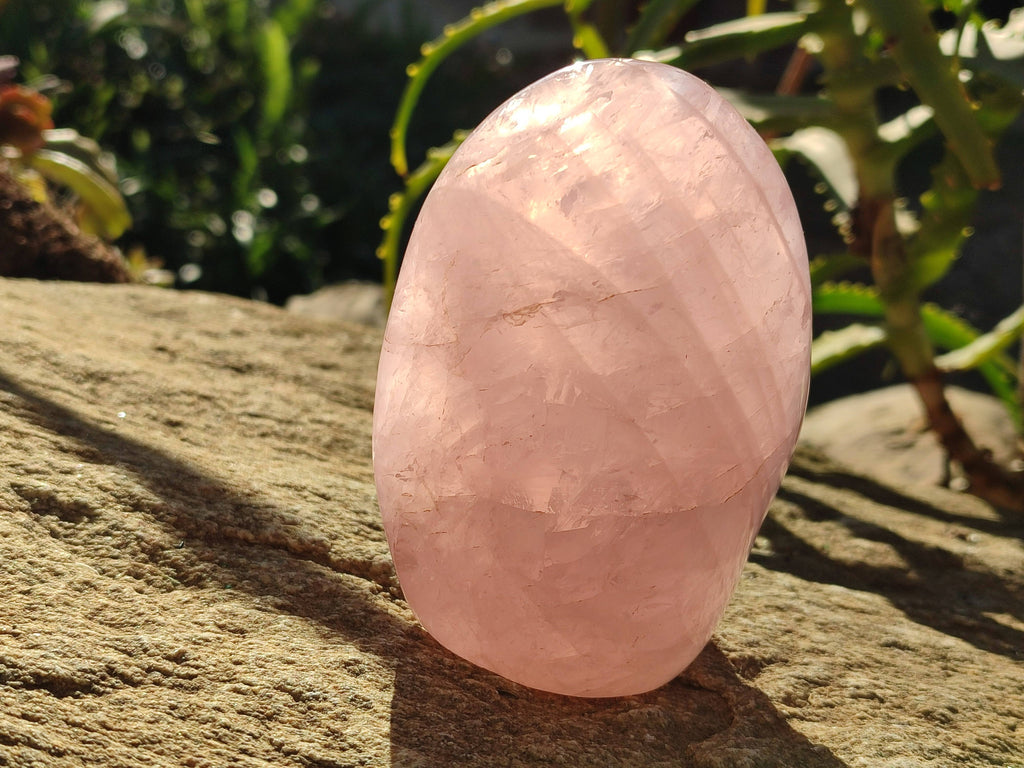 Polished Rose Quartz Standing Free Forms x 2 From Madagascar - Toprock Gemstones and Minerals 