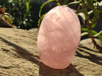 Polished Rose Quartz Standing Free Forms x 2 From Madagascar - Toprock Gemstones and Minerals 