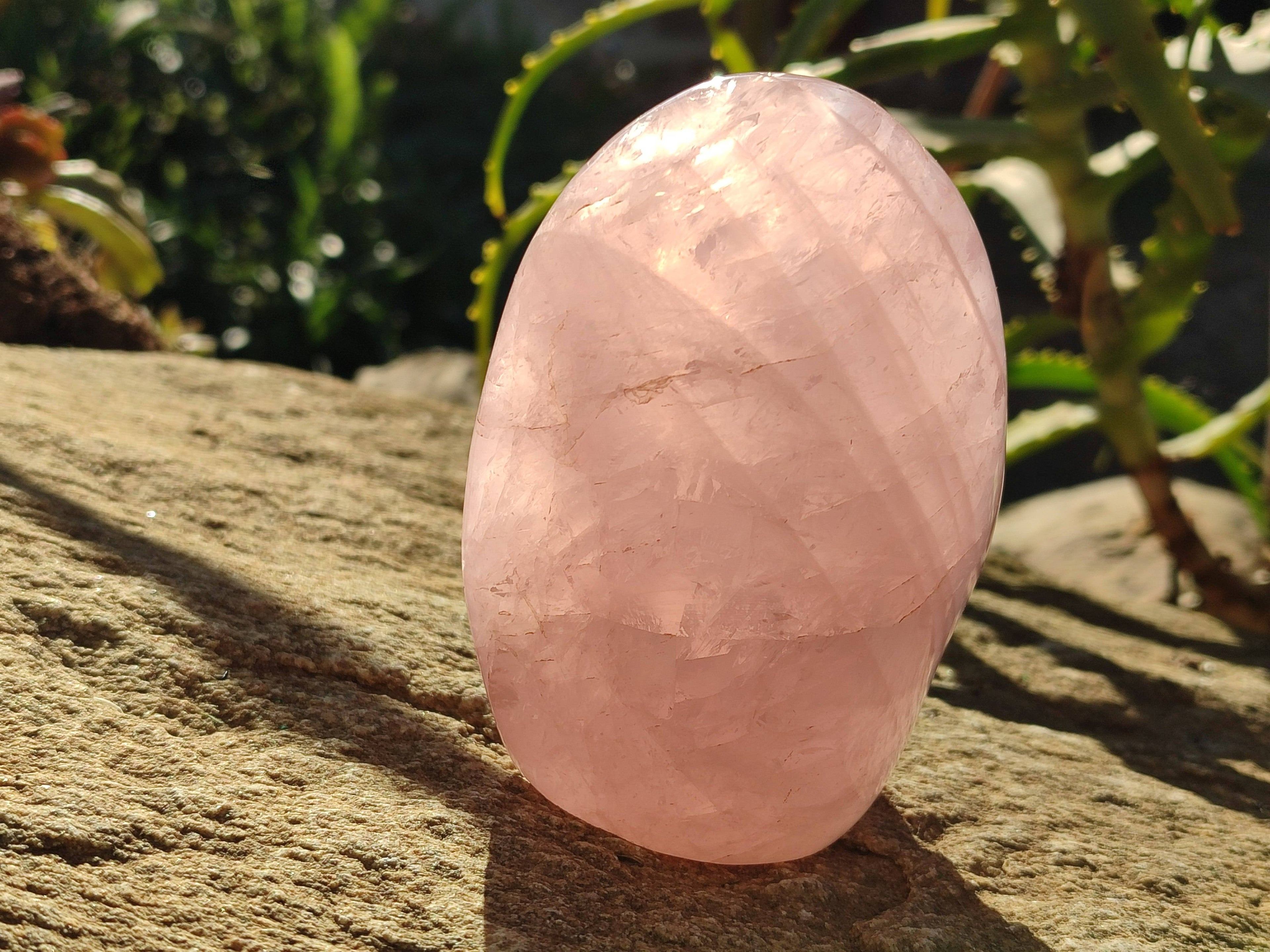 Polished Rose Quartz Standing Free Forms x 2 From Madagascar - Toprock Gemstones and Minerals 