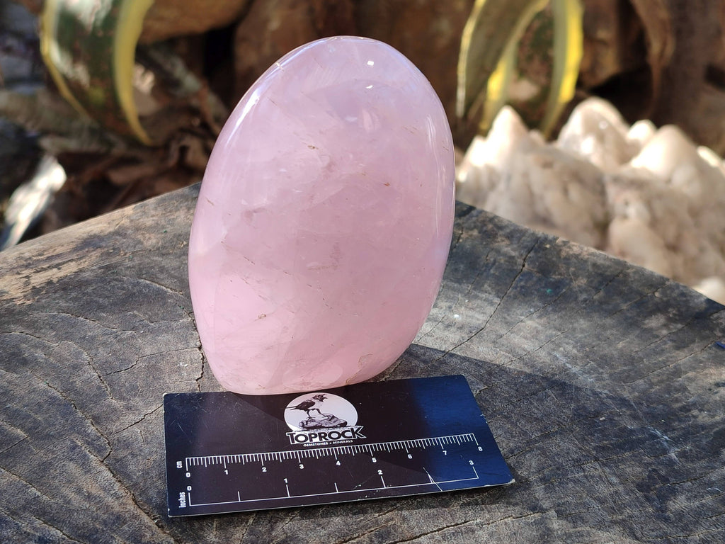 Polished Rose Quartz Standing Free Forms x 2 From Madagascar - Toprock Gemstones and Minerals 
