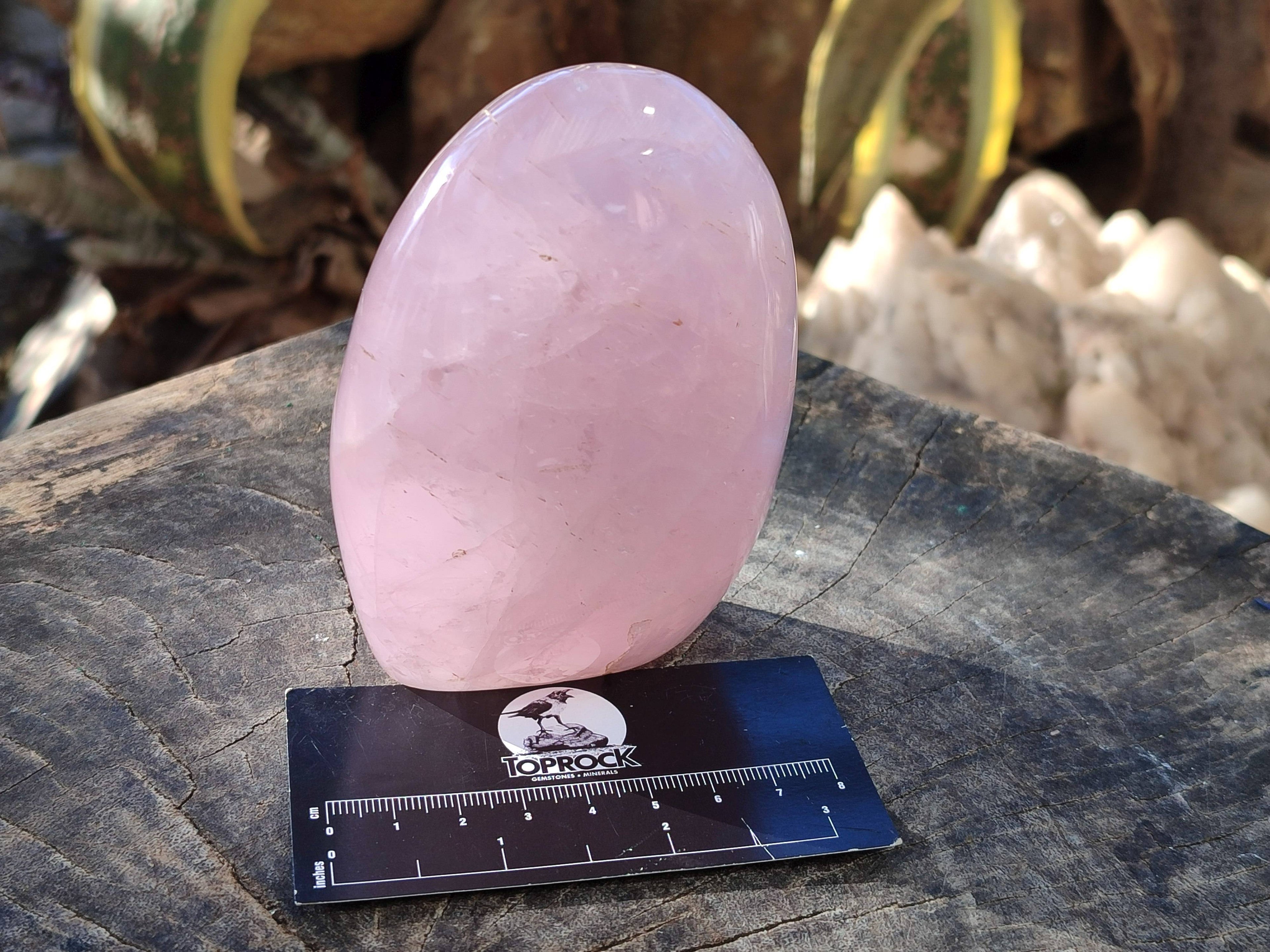 Polished Rose Quartz Standing Free Forms x 2 From Madagascar - Toprock Gemstones and Minerals 