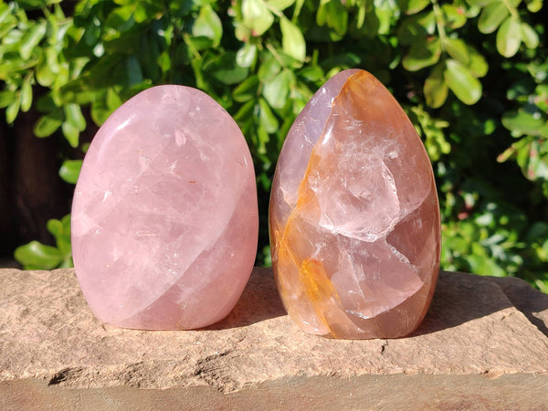 Polished Rose Quartz Standing Free Forms x 2 From Madagascar